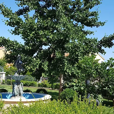 Ginkgo 3 By Interhome Lägenhet